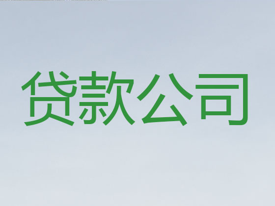 遂宁抵押贷款公司-信用贷款